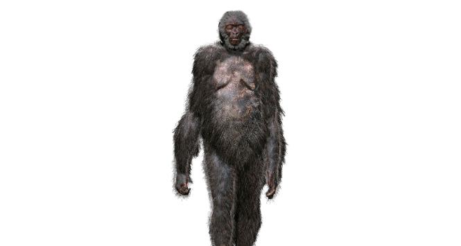 Ardi – homininka sprzed 4,4 mln lat