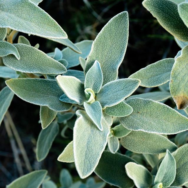 Pulsar - wyjątkowy portal naukowy.