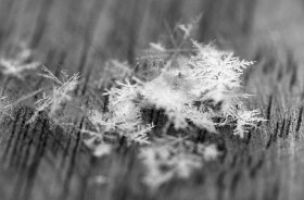 Nie ma dwóch identycznych płatków sniegu. Każdy jest inny. Śnieg to nieskończone bogactwo kształtów.