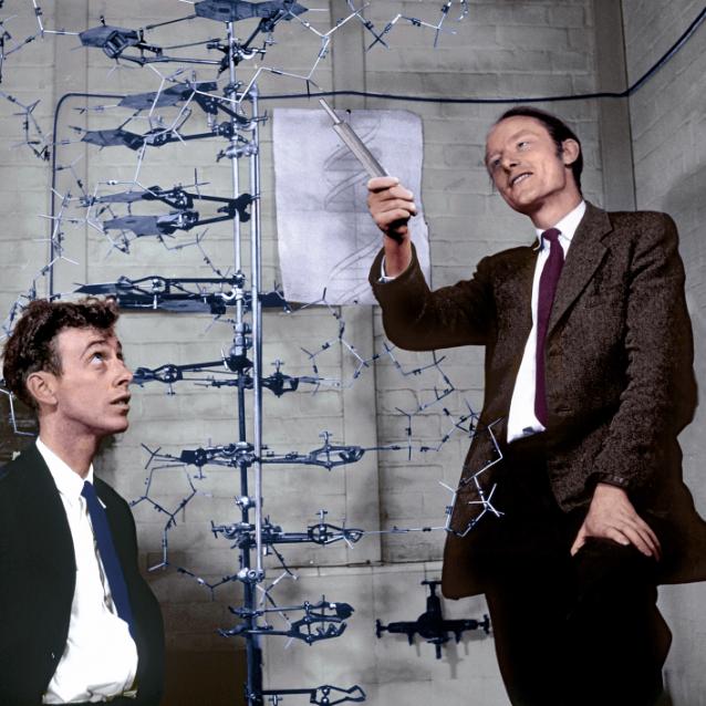 James D. Watson i Francis H.C. Crick w Cavendish Laboratory w maju 1953 r.