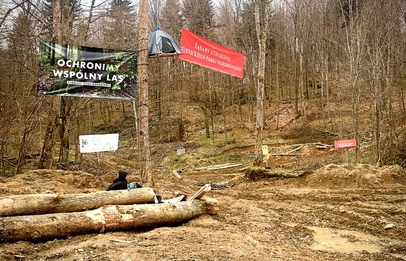 Aktywiści z Inicjatywy Dzikie Karpaty blokują wycinkę na obszarze projektowanego Turnickiego Parku Narodowego.