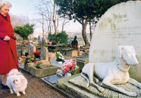 Cmentarz w Asnieres pod Paryżem