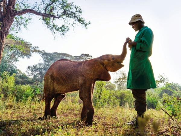 „Planeta doskonała”, reż. Huw Cordey i Nick Shoolingin-Jordan