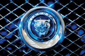 Piechociński nie zdradził, ile konkretnie zażądał Jaguar, ale przyznał, że rozmowy zaczęły się od kwoty przekraczającej 773 mln zł.