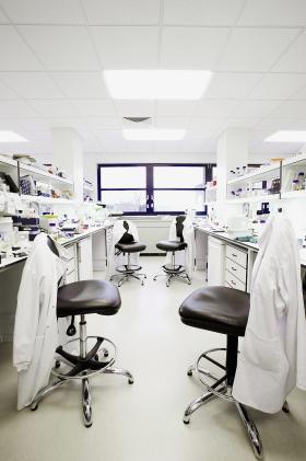 Polskie nauki społeczne i humanistyczne są - w swoim ogólnym obrazie -  prowincjonalne.