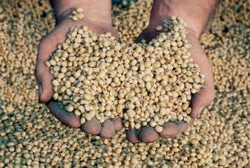 Amerykanie produkują olej z nanocząsteczkami, ułatwiającymi wchłanianie przez organizm witamin i minerałów.