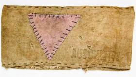 Różowy trójkąt wysokości ok. 5 cm, większy od pozostałych oznaczeń o 2–3 cm.