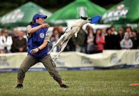 Dla mniejszych psów złapanie wysoko lecącego dysku wymaga...