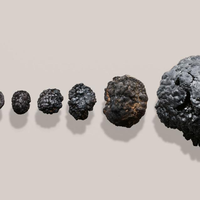 Konkrecje manganowe z dna głębin oceanicznych zawierają cenne metale.