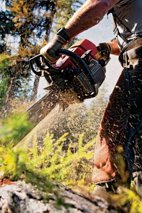 Rocznie do kas Lasów Państwowych wpływa ok. 8 mld zł, a 90 proc. tej sumy pochodzi ze sprzedaży drewna.