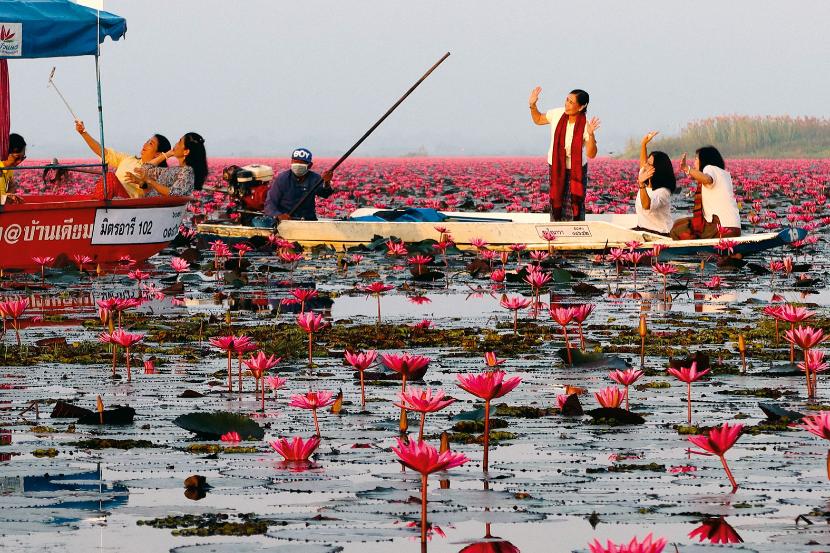 Czy gastronomia i hotelarstwo zakwitną jak czerwone lotosy na jeziorze Nong Han?