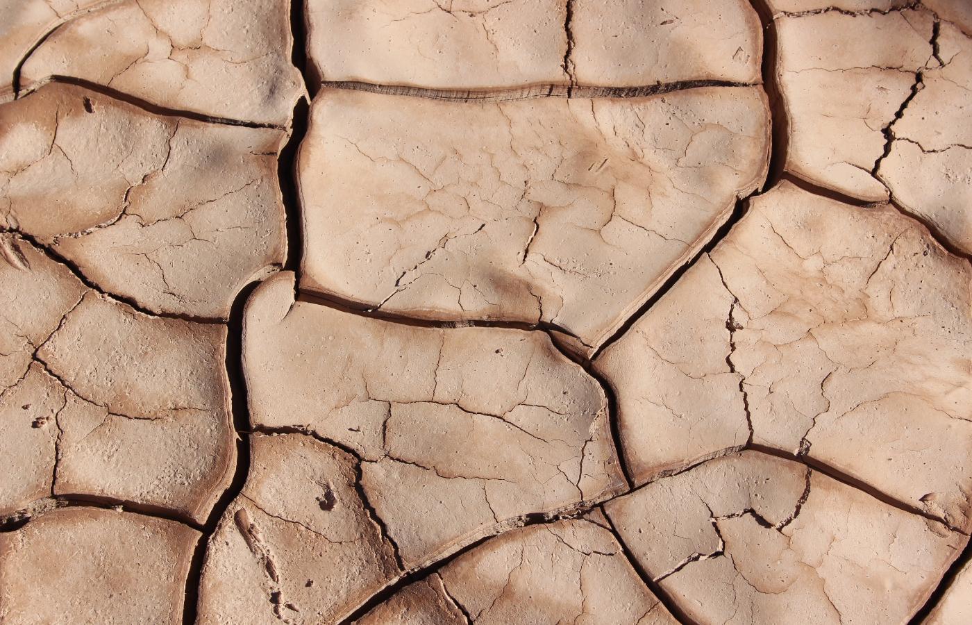 Rosnące temperatury sprowadzają coraz częstsze susze, te przyspieszają erozję gleb. Tam, gdzie jest już sucho, jałowe gleby zamieniają się w pustynie. Autorzy raport IPCC alarmują: degradacja gleb prowadzi do katastrofy Ziemi.