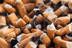 Jeśli jednak ktoś woli tytoń w bardziej klasycznej formie, może przyczynić się do stworzenia… cegieł! Dr Abbas Mohajerani z RMIT University dowodzi, że wypalanie cegieł z dodatkiem 1 proc. niedopałków papierosów sprzyja ochronie środowiska. W jaki sposób? Słaba biodegradowalność niedopałków sprawia, że na ich rozłożenie trzeba czekać wiele lat. Przez ten czas do gleby przenika mnóstwo szkodliwych substancji. Wypalanie cegieł z niedopałkami sprawia, że odpady znikają z naszej planety, a same cegły są podobno lżejsze i lepiej izolują, co wpływa na zmniejszenie kosztów ogrzewania domu.
