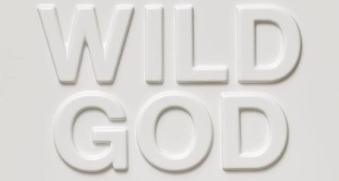 Płyta Wild God