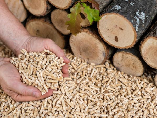 W lepszej sytuacji są ci, którzy kupili wystarczająco dużo pelletu przed sezonem grzewczym i przewidzieli surową zimę.