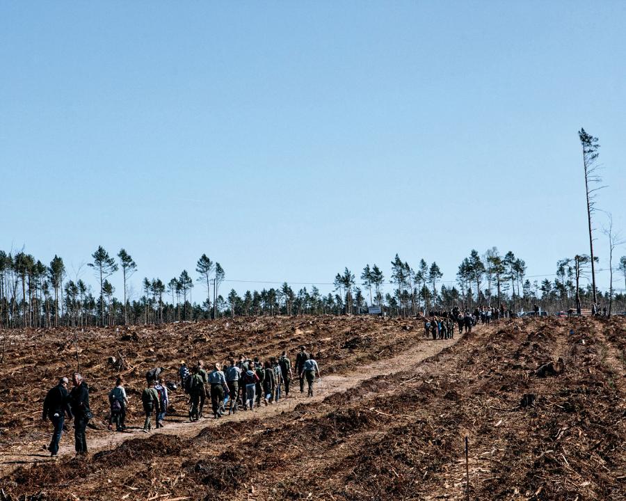 Harcerze, bushcrafterzy, uczniowie... Półtora tysiąca osób sadziło drzewa w ramach akcji Las dla Niepodległej w leśnictwie Dywan.