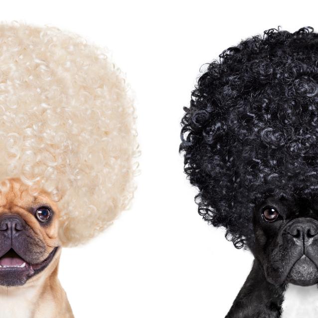 Pulsar - wyjątkowy portal naukowy.