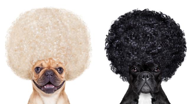 Pulsar - wyjątkowy portal naukowy.