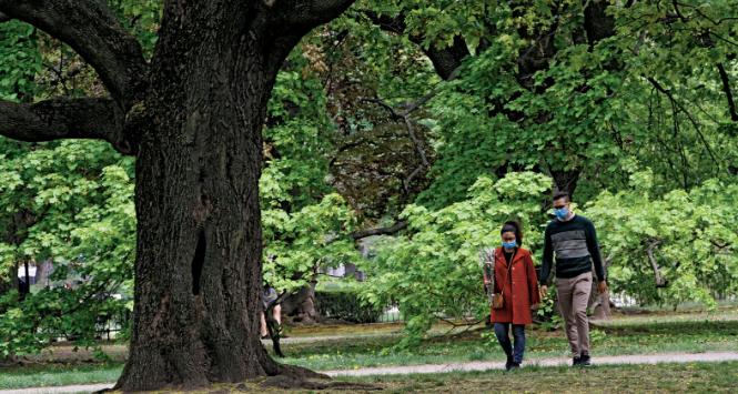 Spacer w Ogrodzie Saskim.