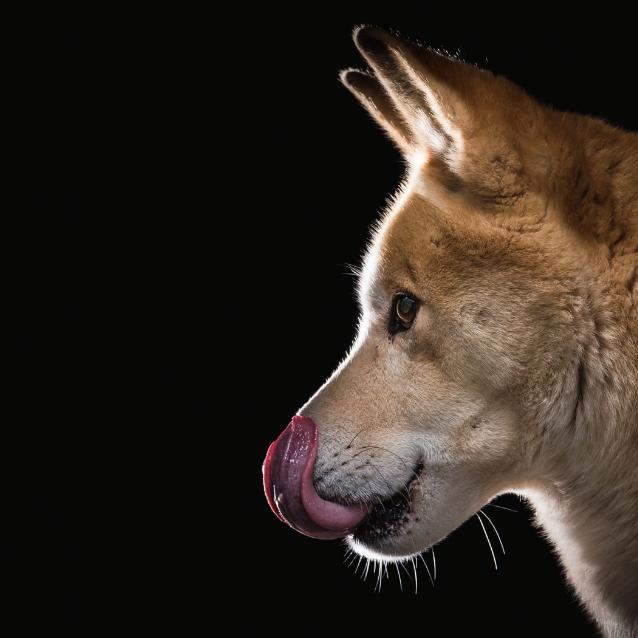 |||