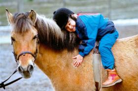 Dzień dobry, kochany koniu