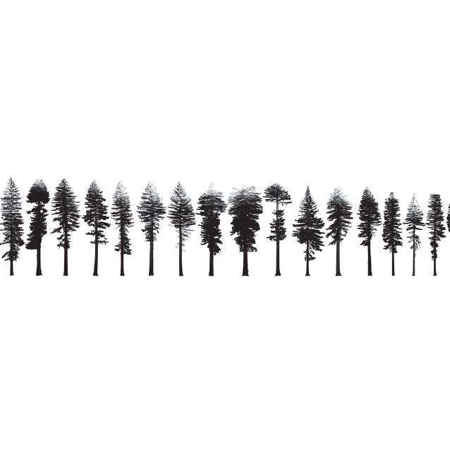 Z: „New 3d Measurements of Large Redwood Trees for Biomass and Structure”, Mathias Disney i inni, Nature Scientific Reports, tom 10, nr 16721; 15 października 2020