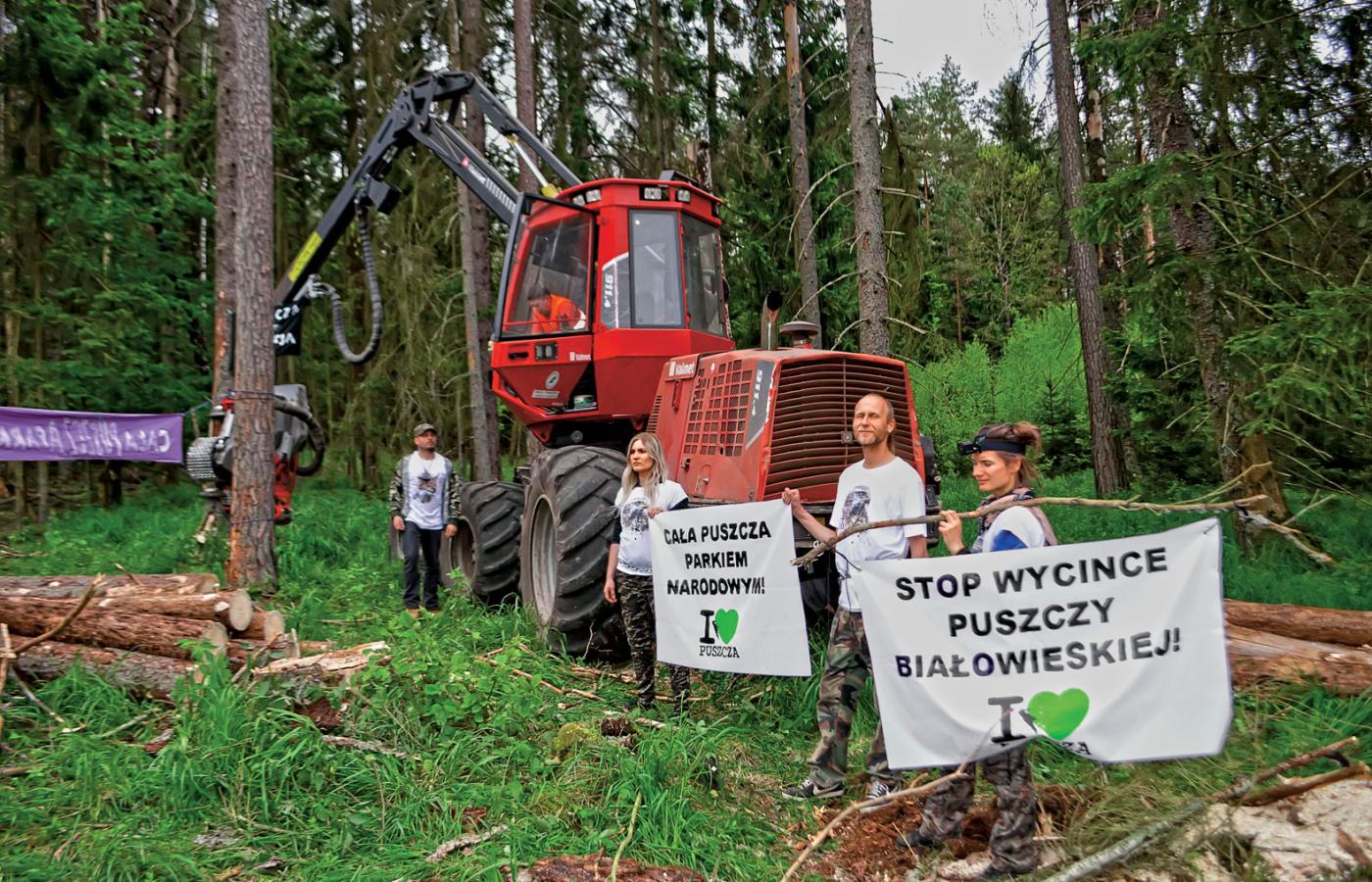 Protest ekologów z WWF Polska i koalicji Kocham Puszczę