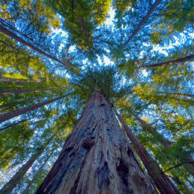 Pulsar - wyjątkowy portal naukowy.