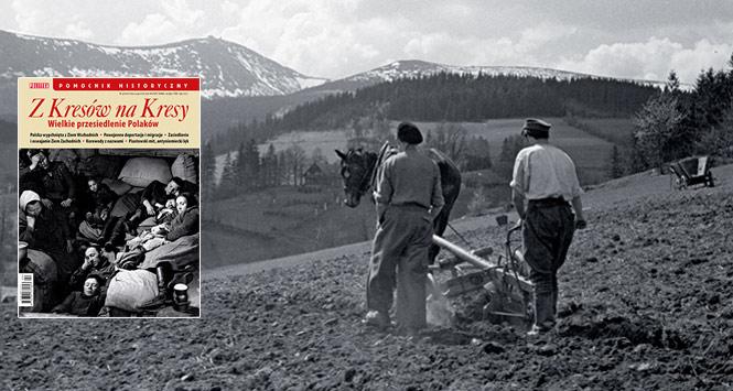 Sadzenie ziemniaków u stóp Karkonoszy (w tle Śnieżka), maj 1948 r.