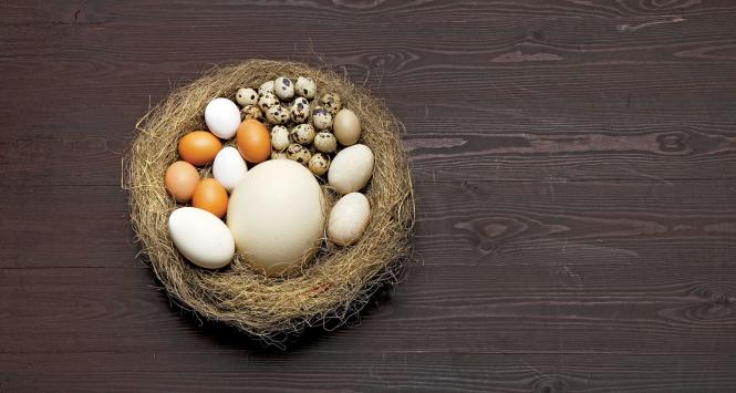 Jajko od tysiącleci było symbolem nowego czy odradzającego się życia.