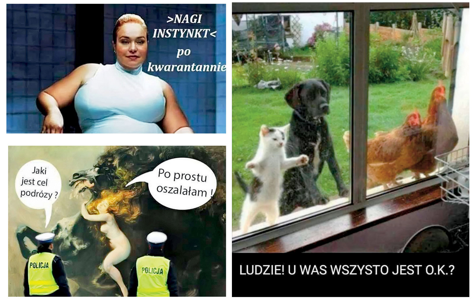 Humorem w pandemię | Śmiać się, by przetrwać - Polityka.pl