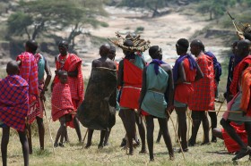 Żelaznym punktem wycieczek w Tanzanii są odwiedziny u lokalnych Masajów, którzy za zryczałtowaną opłatą 20 dol. raczą białych historiami o młodzieńcach żyjących przez kilka lat w dziczy, przechodzących tam niezbędny etap inicjacji.