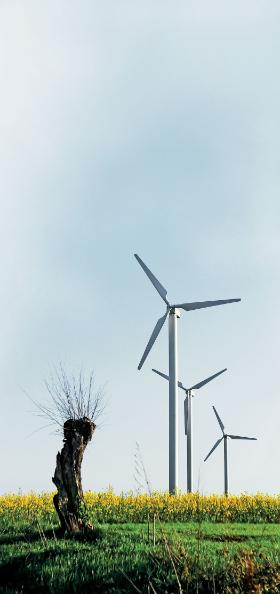 Oto pojawiła się niepowtarzalna szansa, by dokonać historycznego zwrotu i rozpocząć trend systematycznego zmniejszania emisji.