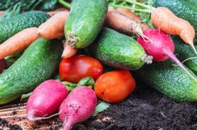 Polacy coraz liczniej chcą kupować lokalnie, jeść sezonowo i żyć, jak najmniej marnując.