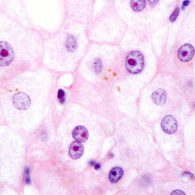 Pulsar - wyjątkowy portal naukowy.