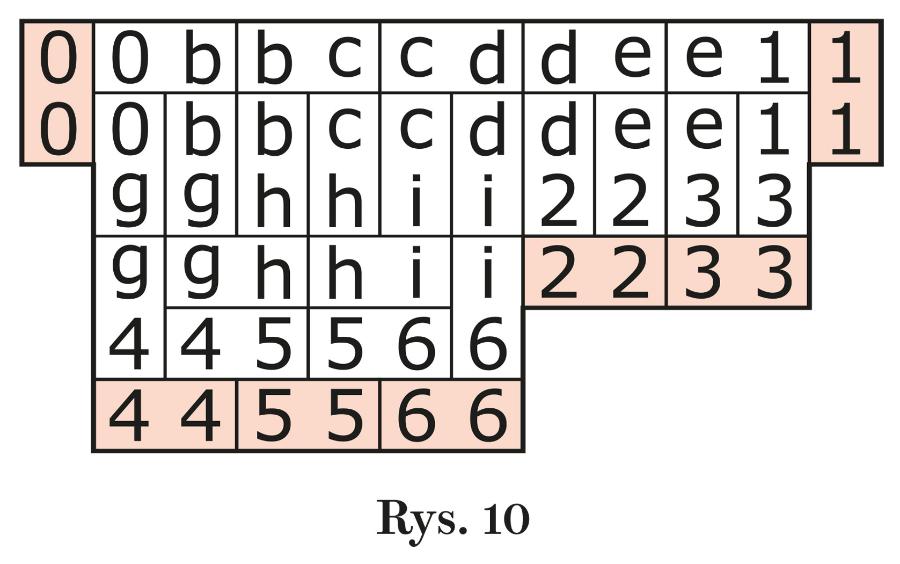 Rys. 10