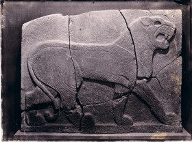 Kamianna płyta z płaskorzeźbą lwa, stan z lat trzydziestych.