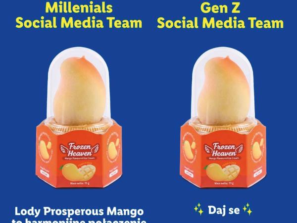 Lody w ofercie Lidla