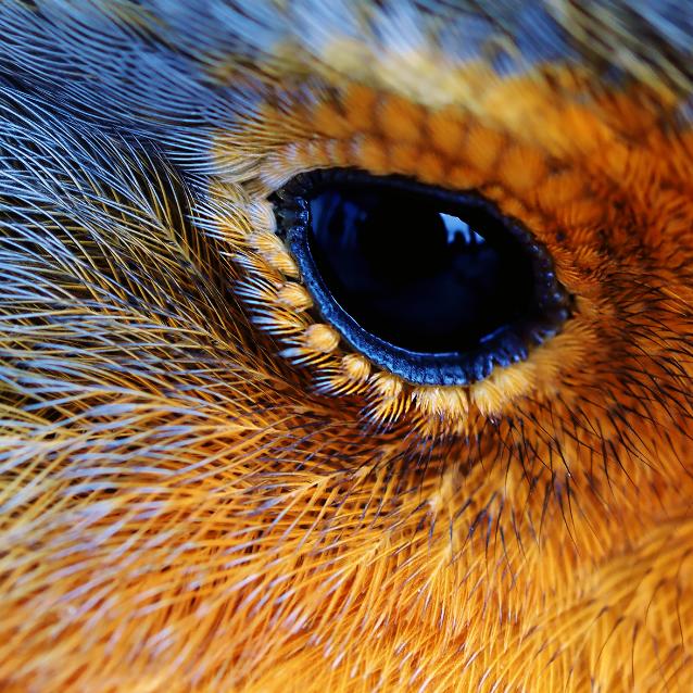 Pulsar - wyjątkowy portal naukowy.