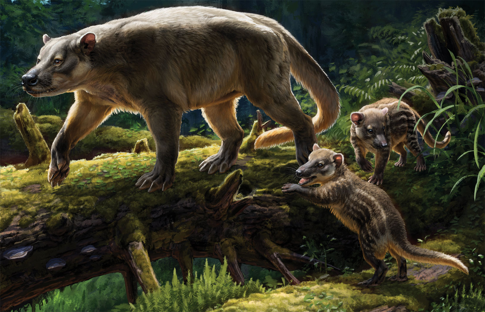 Dinozaury i ssaki. Dlaczego ssaki wygrały z dinozaurami? Kluczem do