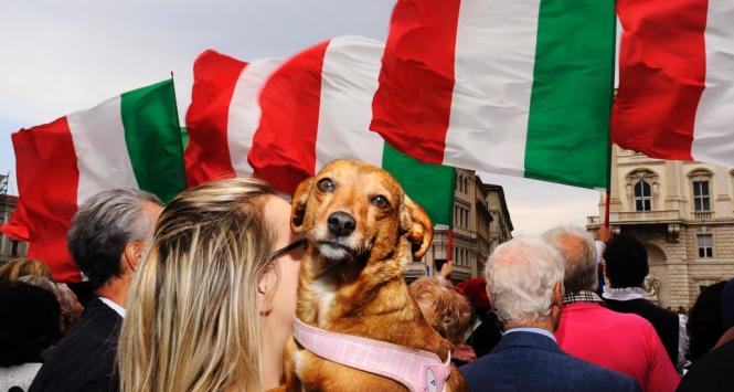 Pies i włoska flaga