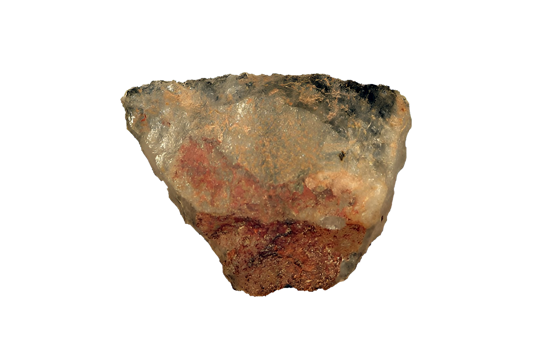 Łowcy-zbieracze strzelali truciznami 60 tys. lat temu