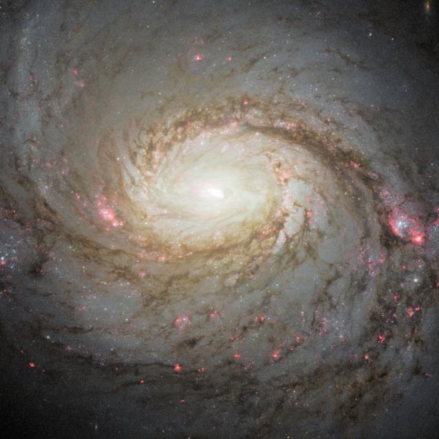 Naukowcy wykryli neutrina z galaktyki spiralnej Messier 77, zwanej również NGC 1068 (tu na obrazie z Kosmicznego Teleskopu Hubble'a).