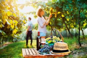 Różne kategorie – to samo wspomnienie udanych wakacjiKażde z 2500 austriackich gospodarstw agroturystycznych zrzeszonych pod marką Urlaub am Bauernhof jest wyspecjalizowane w którejś z ośmiu kategorii. Są wśród nich gospodarstwa czysto rolnicze, ale i winiarskie, produkujące zdrową żywność, hodowlane, ze stadninami, przystosowane do potrzeb osób niepełnosprawnych, oferujące regenerację sił, czy wreszcie te, nastawione na przyjmowanie rodzin z małymi dziećmi. W każdym zaś na turystów czekają uśmiechnięci gospodarze, którzy z radością dzielą się swoją miłością do prostego, wiejskiego życia.