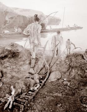 Pierwsi rolnicy po przybyciu do Europy uczyli się od miejscowych myśliwych-zbieraczy, jak wykorzystywać zasoby środowiska.