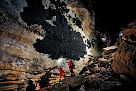 Jaskinia Hubbarda w Tennessee, zimowe schronisko dla 500 tys. nietoperzy szarych, należy do organizacji Nature Conservancy.