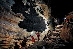 Jaskinia Hubbarda w Tennessee, zimowe schronisko dla 500 tys. nietoperzy szarych, należy do organizacji Nature Conservancy.