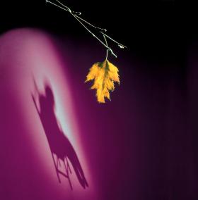 Tempo starzenia się w dużej mierze zależy także od nas.