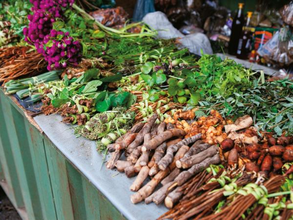 Paragwajskie stragany z ziołami