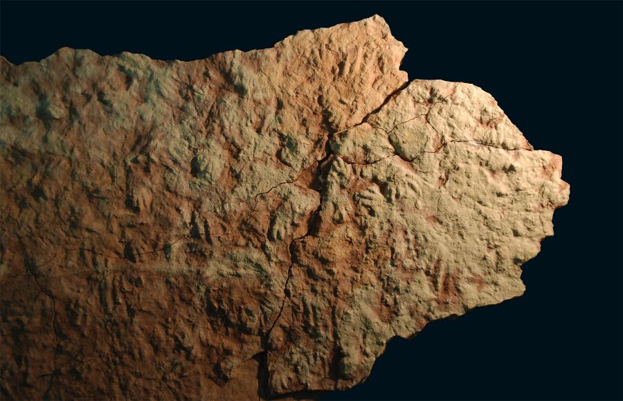 Odciski stóp prorotodaktyli wykazują, że przed około 250 mln lat prekursorzy dinozaurów z grupy dinozauromorfów przemierzali obszary dzisiejszych polskich Gór Świętokrzyskich.